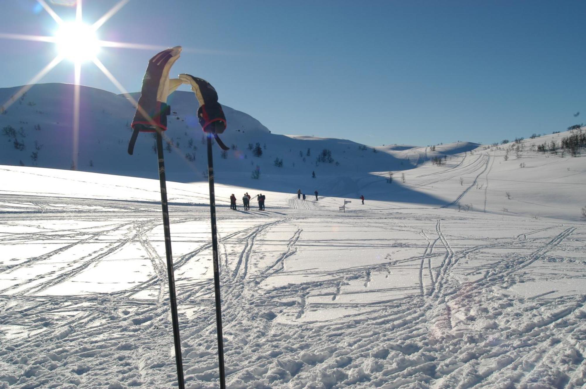 Rauland Hogfjellshotell Zewnętrze zdjęcie